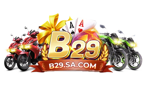 B29