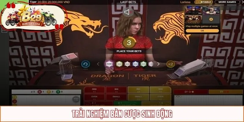 Trải nghiệm bàn cược sinh động