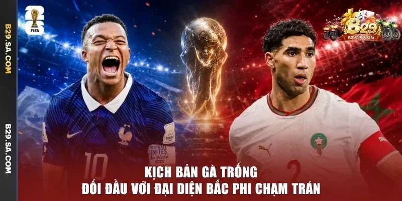 Kịch bản Gà trống đối đầu với đại diện Bắc Phi chạm trán