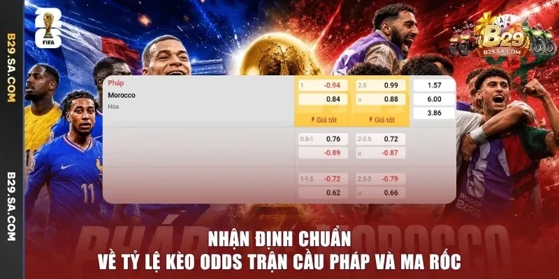Nhận định chuẩn về tỷ lệ kèo odds trận cầu Pháp và Ma Rốc